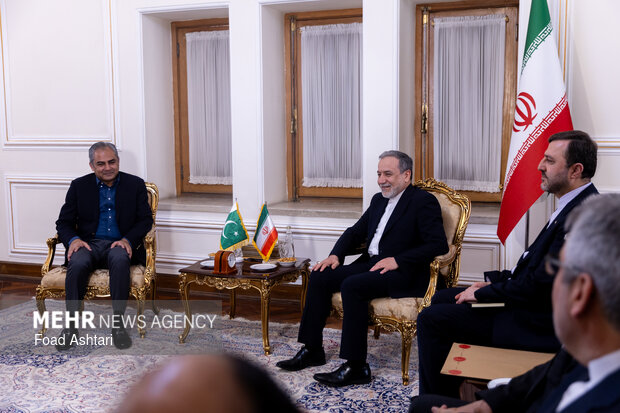دیدار وزیر کشور پاکستان با وزیر امور خارجه ایران