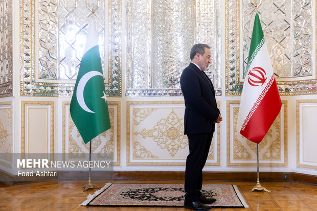 دیدار وزیر کشور پاکستان با وزیر امور خارجه ایران