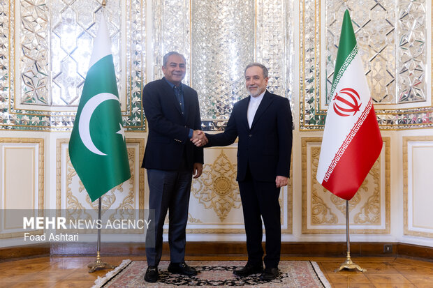 دیدار وزیر کشور پاکستان با وزیر امور خارجه ایران