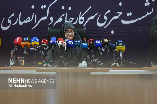 نشست خبری رئیس سازمان حفاظت محیط زیست