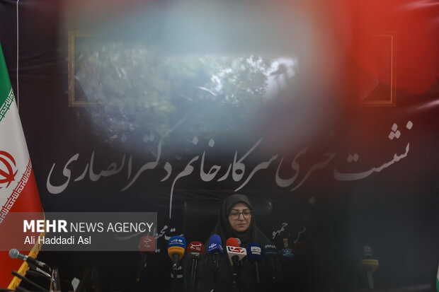 نشست خبری رئیس سازمان حفاظت محیط زیست