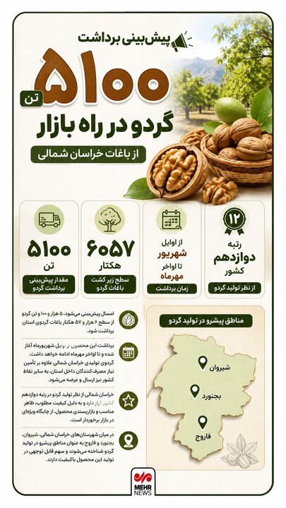 اینفوگرافی؛ پیش‌بینی برداشت ۵۱۰۰ تن گردو از باغات خراسان شمالی