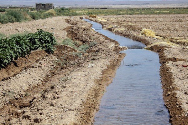 فشار خشکسالی به کشاورزی در بخش ارم؛ چاه ها و قنوات احیا شوند