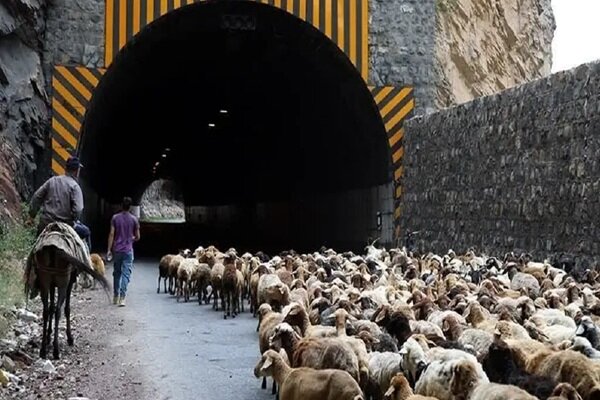 انسداد،دامداران،آزادراه،احشام،كندوان،مسدود،خردادماه