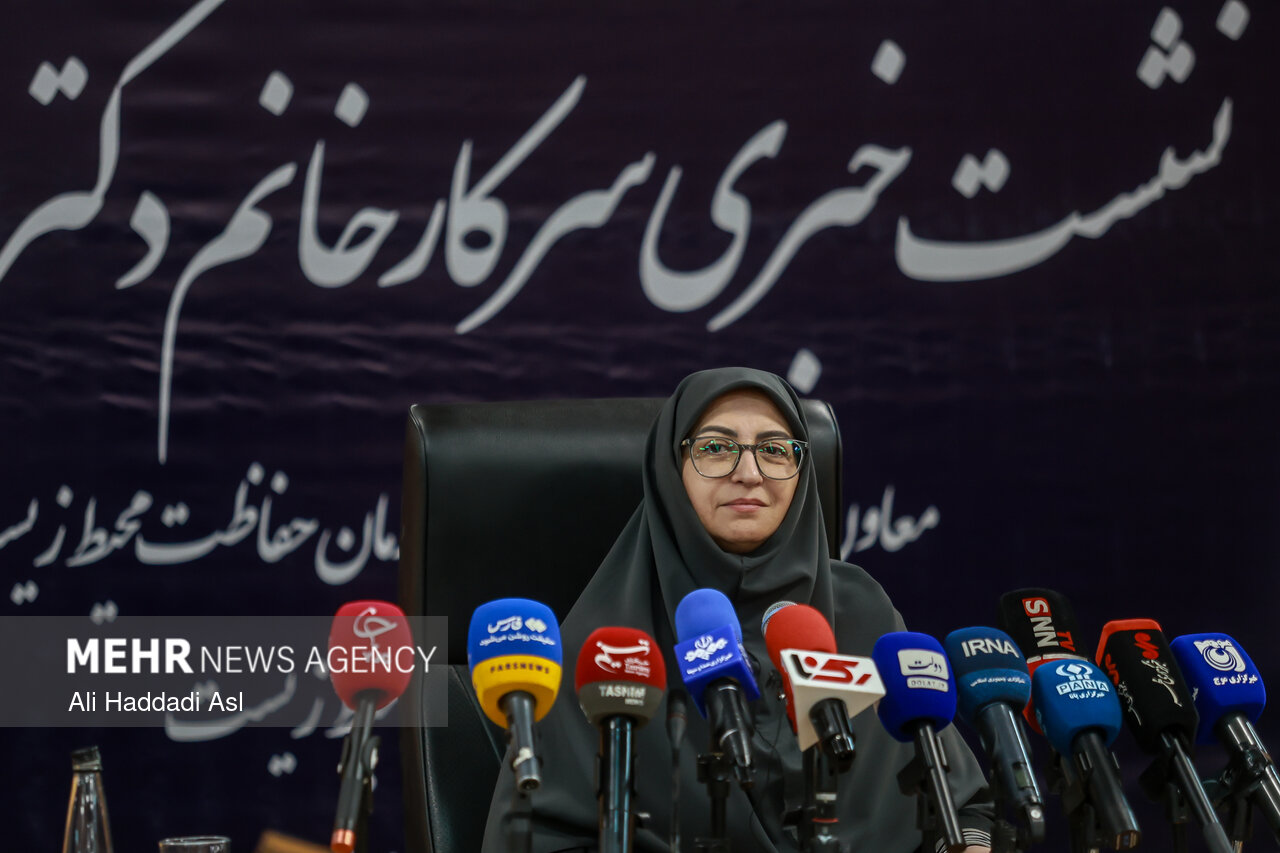 نشست خبری رئیس سازمان حفاظت محیط زیست