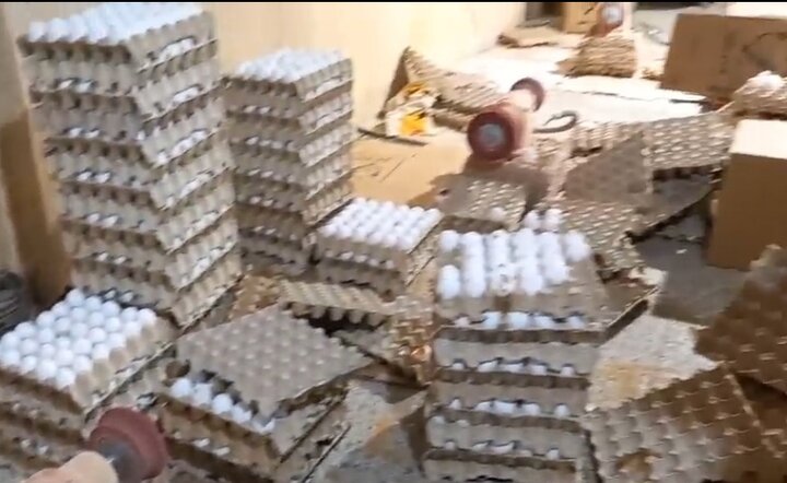 گزارش مهر از کشف ۱۰۰ هزار تخم مرغ فاسد در جنوب تهران