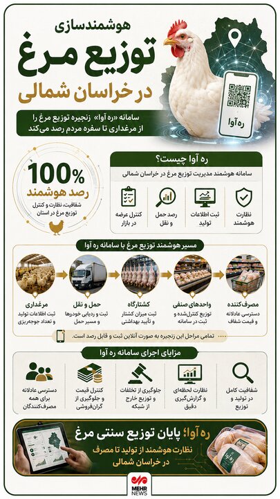 اینفوگرافیک؛ توزیع مرغ در خراسان شمالی هوشمند می‌شود