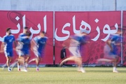 از لس‌آنجلس تا تیخوانا؛ هوادار دو ملیتی در تعقیب تیم ملی ایران+ فیلم