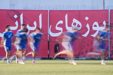 از لس‌آنجلس تا تیخوانا؛ هوادار دو ملیتی در تعقیب تیم ملی ایران + فیلم