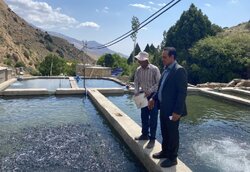 فعالیت ۱۳۲واحد آبزی‌پروری در شاهرود؛ تولید ۷۳۸تن ماهی و جلبک اسپرولینا