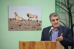 گره‌های آب گرمسار در حال گشایش؛ مدیریت در اختیار دستگاه مشخص واقع شود