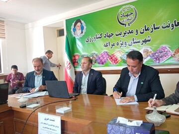 خرسندی: مراغه قطب تولید سیب و محصولات باغی آذربایجان شرقی است