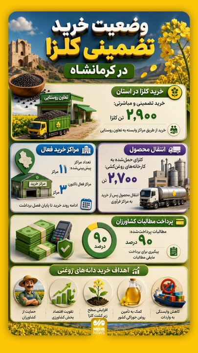 اینفوگرافیک؛ وضعیت خرید تضمینی کلزا در کرمانشاه
