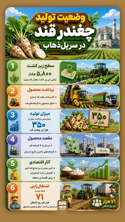 اینفوگرافیک؛ وضعیت تولید چغندر قند در سرپل‌ذهاب