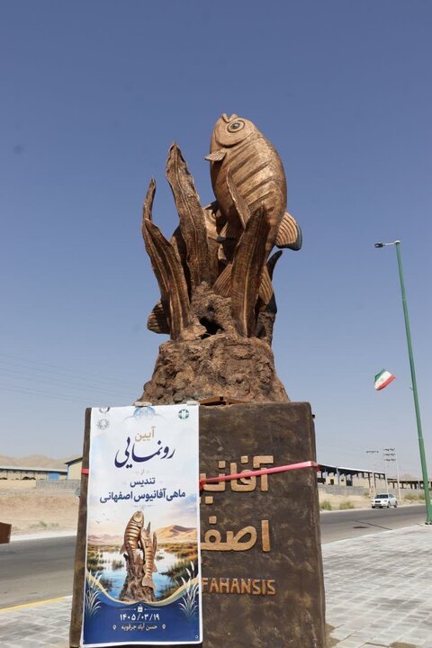 تندیس ماهی آفانیوس نماد زیستی اصفهان در شهر حسن‌آباد نصب شد