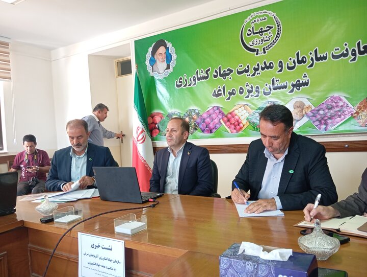 خرسندی: مراغه قطب تولید سیب و محصولات باغی آذربایجان شرقی است