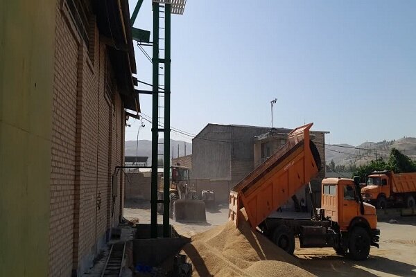 مجتمع انباری تعاون روستایی پلدختر مکانیزه شد