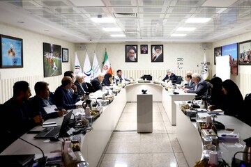 Paralympic executive board