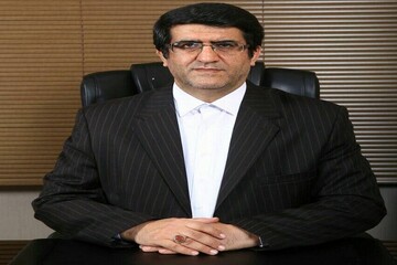 یک کارشناس بازار پول: بانک‌ها برای تأمین مالی بلندمدت مناسب نیستند
