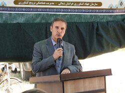محمود آبادی: مانه دارای ظرفیت بالای کشاورزی در خراسان شمالی است