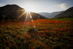 شهر زیبای مُجِن