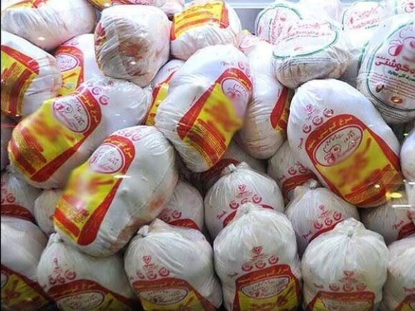 ۱۱ تن مرغ دولتی برای تنظیم بازار در شهرستان عسلویه توزیع شد