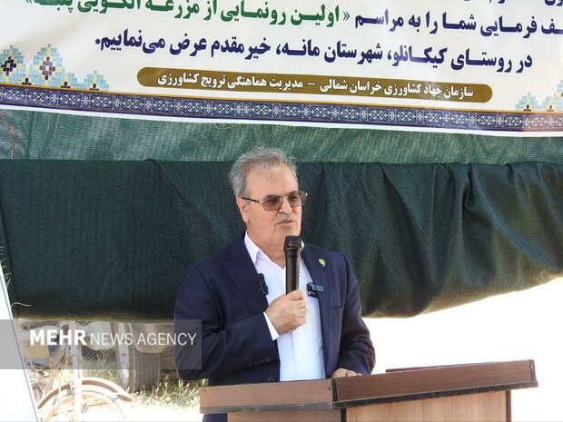 گل محمدی: کشاورزان پیشرو باید تجربه خود را به بهره‌برداران منتقل کنند