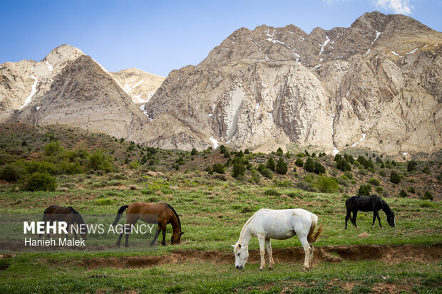 شهر زیبای شهر مُجِن