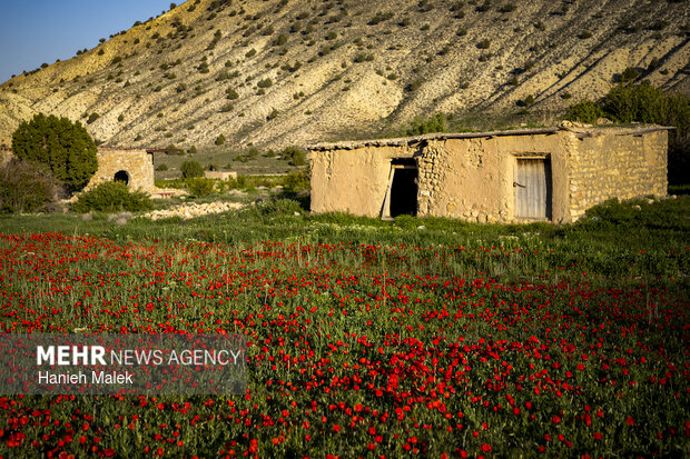 شهر زیبای شهر مُجِن