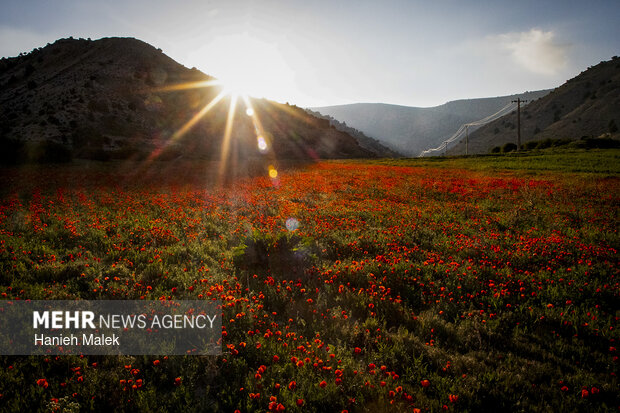شهر زیبای شهر مُجِن