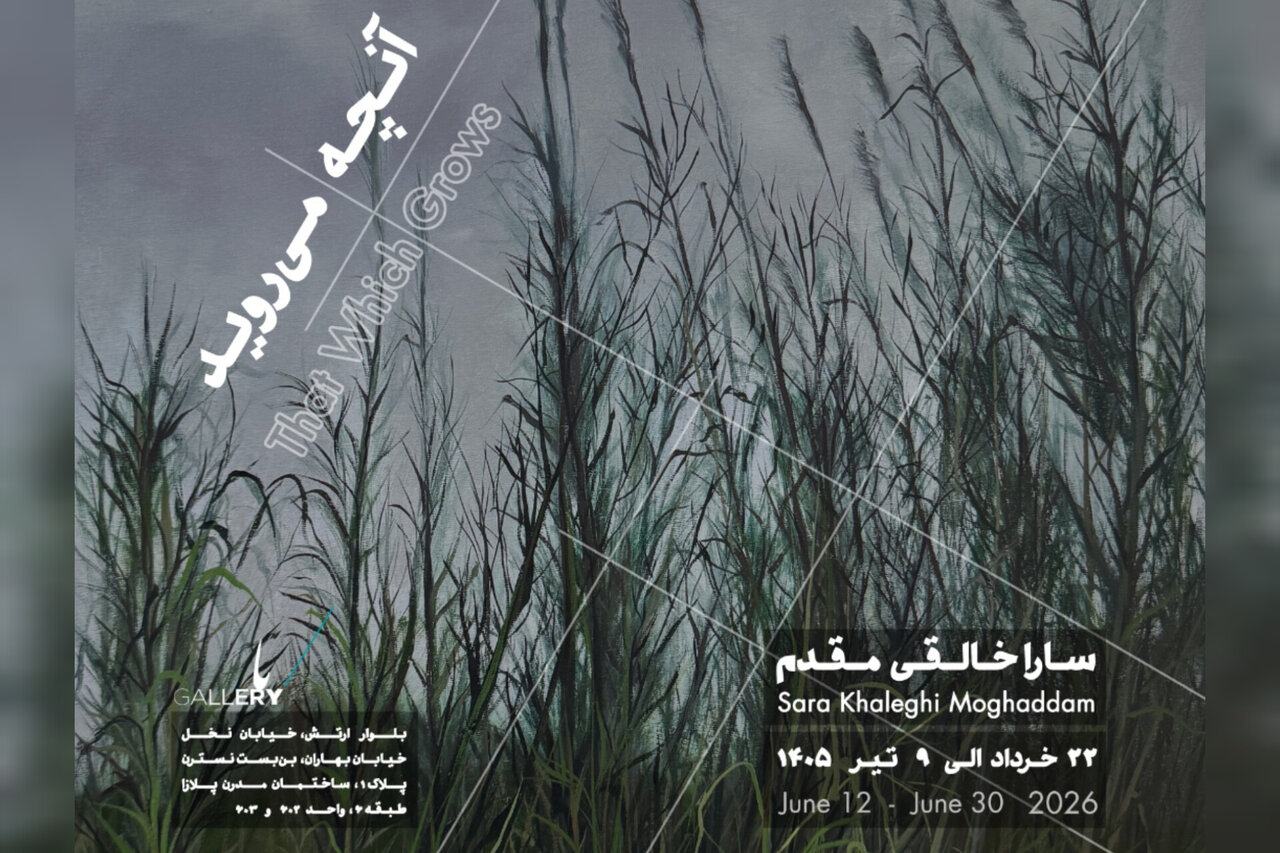 «آنچه می‌روید» به باگالری رسید؛ وفادار به بی‌نظمی جهان