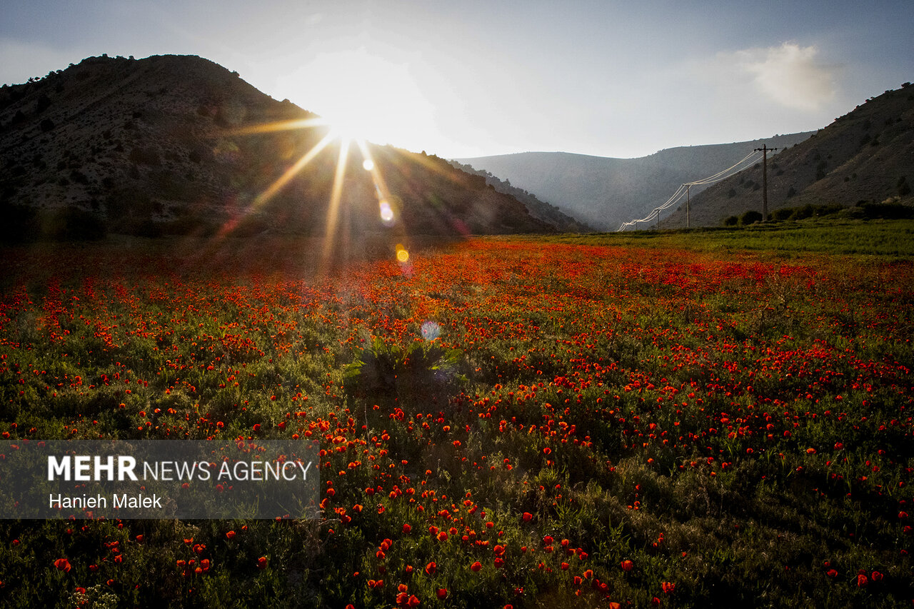 شهر زیبای مُجِن