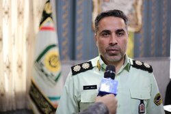سرقت ۲۳ رأس دام در درجزین؛ ۵ سارق دستگیر شدند