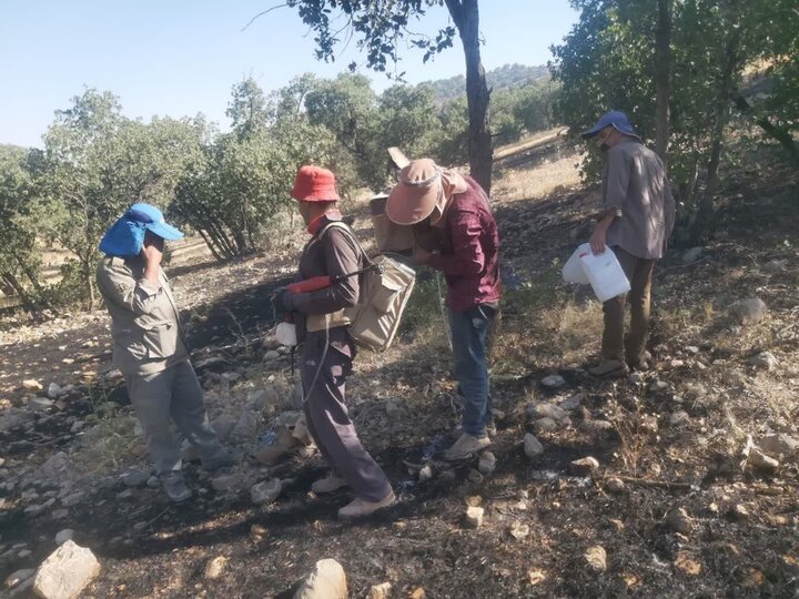 مهار کامل آتش‌سوزی گناوه‌لری گچساران