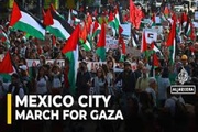 VIDEO: Pro-Palestine rally in Mexico City