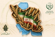 تخفیف ۱۰ درصدی حق بیمه صندوق کشاورزی برای بیمه‌گذران