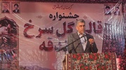 محسن نژاد: رویدادهای مردمی، کلید معرفی جهانی اسفندقه است