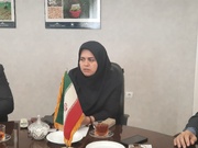 شیخ: ضریب نفوذ ارقام اصلاح‌شده در گلستان به ۹۸ درصد رسیده است