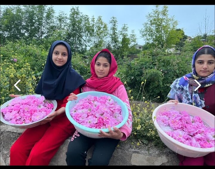 عطر گل و گلاب در مدارس کجور؛ معلم و دانشآموز هر دو باغبان شدند