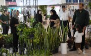 نمایشگاه گل و گیاه در بیرجند