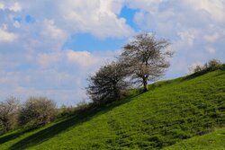 شهرستان گرمی؛ نگین سبز اردبیل