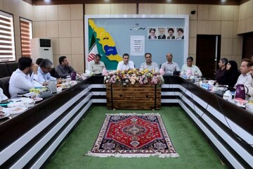معاون استاندار بوشهر: نشاط‌آفرینی در شهرها و روستاها دنبال می‌شود