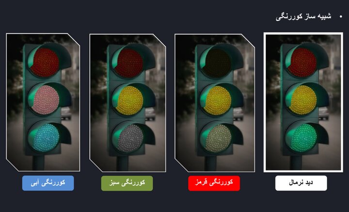 چرا بسیاری از افراد تا بزرگسالی نمی‌دانند کوررنگ هستند؟