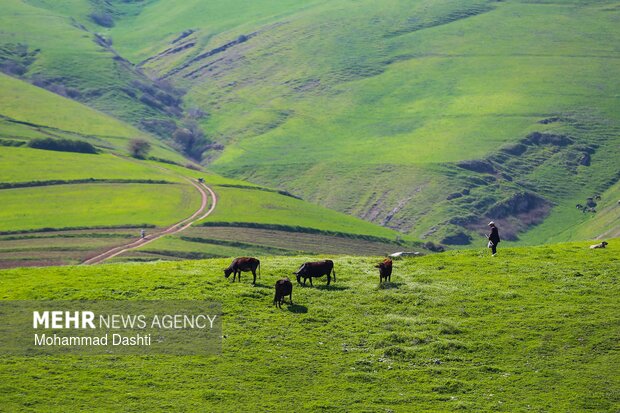 شهرستان گرمی؛نگین سبز اردبیل