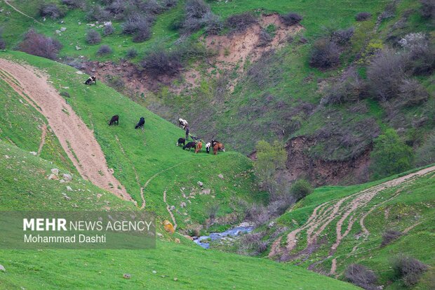 شهرستان گرمی؛نگین سبز اردبیل