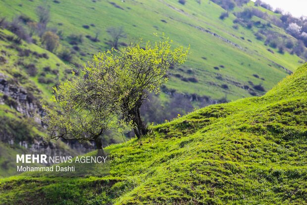 شهرستان گرمی؛نگین سبز اردبیل
