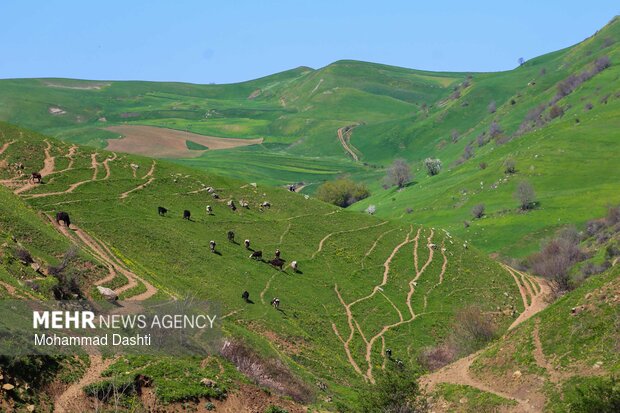 شهرستان گرمی؛نگین سبز اردبیل