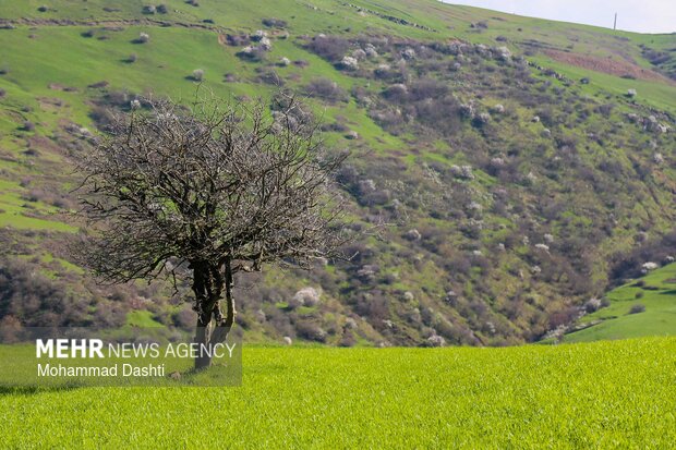 شهرستان گرمی؛نگین سبز اردبیل
