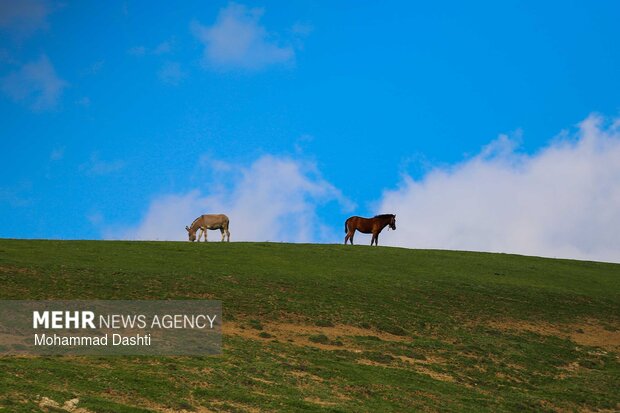 شهرستان گرمی؛نگین سبز اردبیل