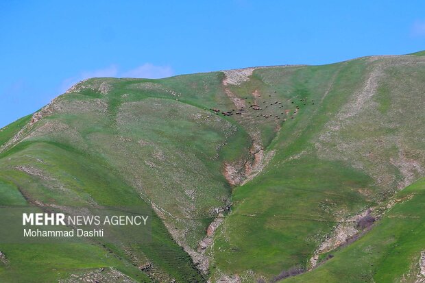 شهرستان گرمی؛نگین سبز اردبیل